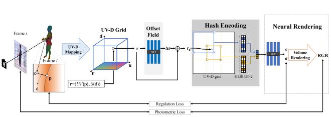 IntrinsicNGP overview