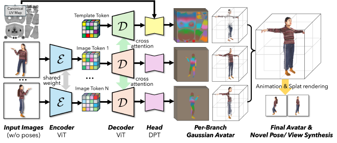 NoPo-Avatar overview