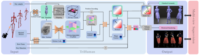 TriHumans overview